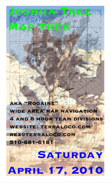 Joshua Tree flyer