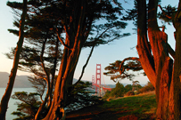 Golden Gate view
